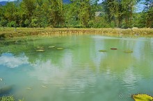 Экскурсии из Нячанга. ВОДОПАД ЯНГ БЕЙ.