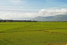 Экскурсии из Нячанга. ВОДОПАД ЯНГ БЕЙ.
