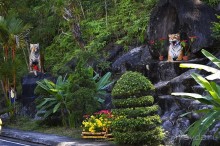 Экскурсии из Нячанга. ВОДОПАД ЯНГ БЕЙ.