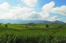 Экскурсии из Нячанга. ВОДОПАД ЯНГ БЕЙ.