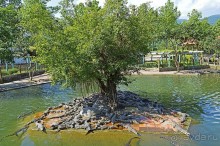 Экскурсии из Нячанга. ВОДОПАД ЯНГ БЕЙ.