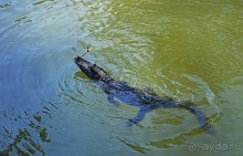 Экскурсии из Нячанга. ВОДОПАД ЯНГ БЕЙ.