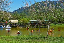 Экскурсии из Нячанга. ВОДОПАД ЯНГ БЕЙ.