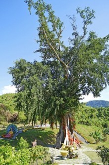 Экскурсии из Нячанга. ВОДОПАД ЯНГ БЕЙ.