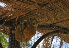 Экскурсии из Нячанга. ВОДОПАД ЯНГ БЕЙ.