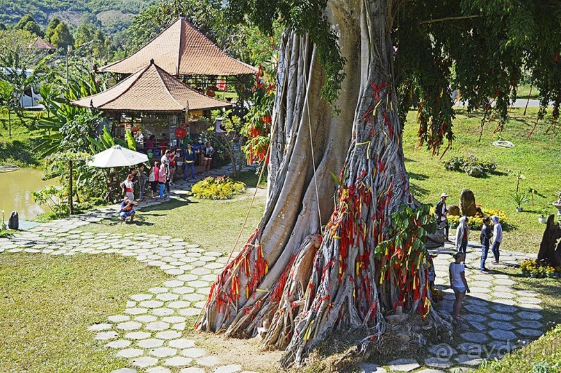 Экскурсии из Нячанга. ВОДОПАД ЯНГ БЕЙ.