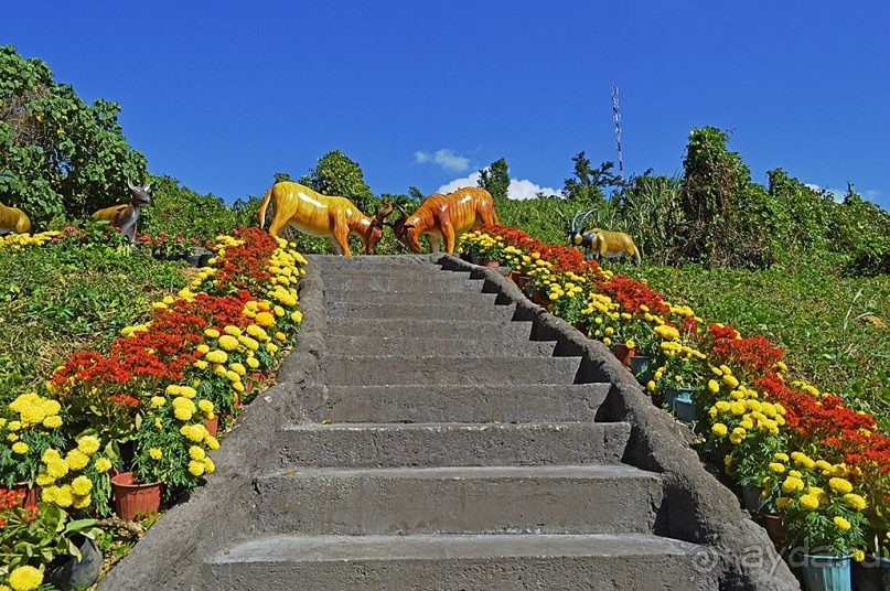 Экскурсии из Нячанга. ВОДОПАД ЯНГ БЕЙ.