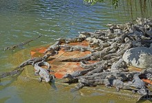 Экскурсии из Нячанга. ВОДОПАД ЯНГ БЕЙ.