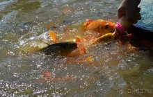 Экскурсии из Нячанга. ВОДОПАД ЯНГ БЕЙ.