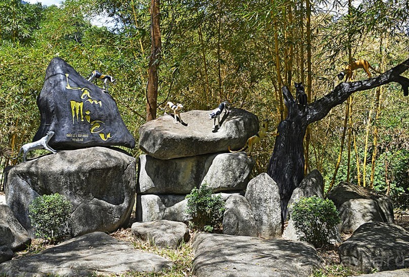 Экскурсии из Нячанга. ВОДОПАД ЯНГ БЕЙ.