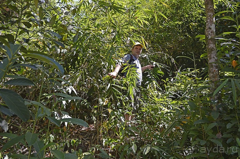 Экскурсии из Нячанга. ВОДОПАД ЯНГ БЕЙ.