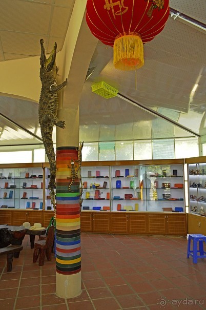 Экскурсии из Нячанга. ВОДОПАД ЯНГ БЕЙ.