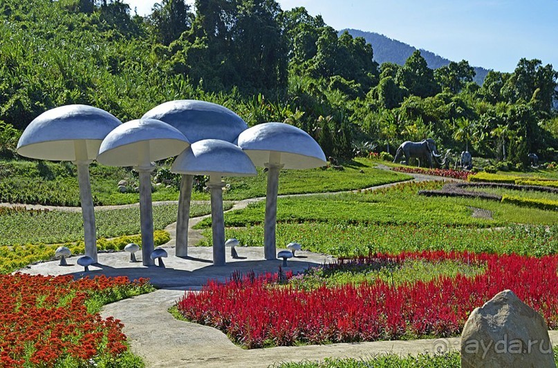 Экскурсии из Нячанга. ВОДОПАД ЯНГ БЕЙ.