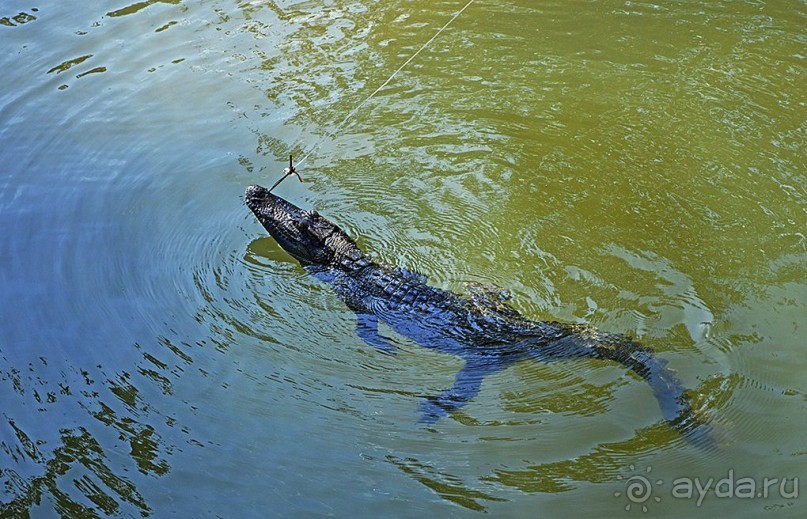 Экскурсии из Нячанга. ВОДОПАД ЯНГ БЕЙ.