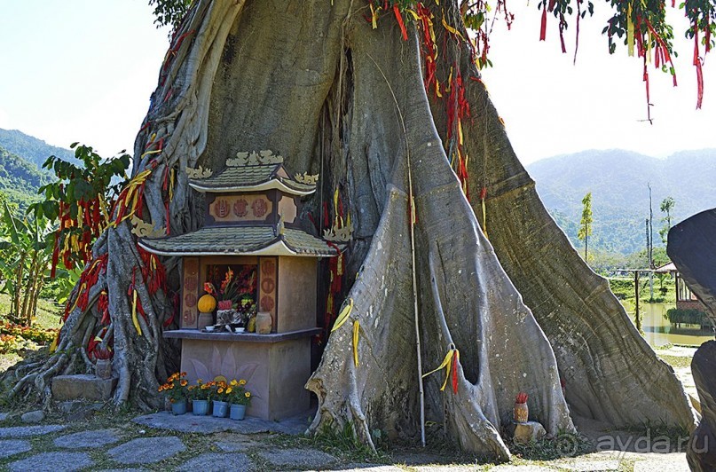 Экскурсии из Нячанга. ВОДОПАД ЯНГ БЕЙ.