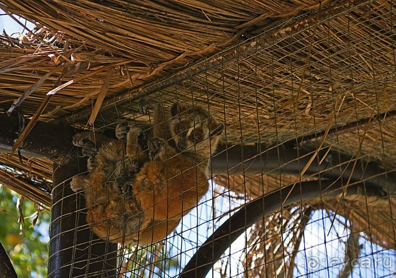 Экскурсии из Нячанга. ВОДОПАД ЯНГ БЕЙ.