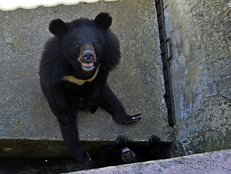 Экскурсии из Нячанга. ВОДОПАД ЯНГ БЕЙ.