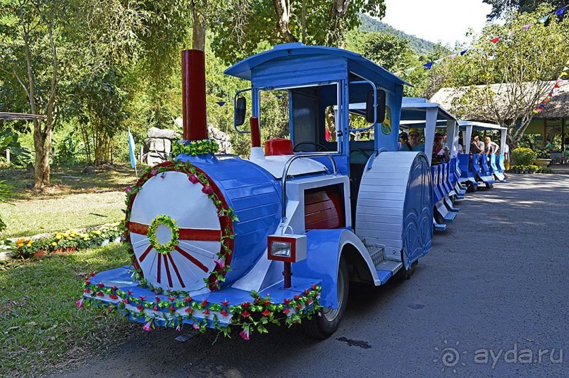 Экскурсии из Нячанга. ВОДОПАД ЯНГ БЕЙ.