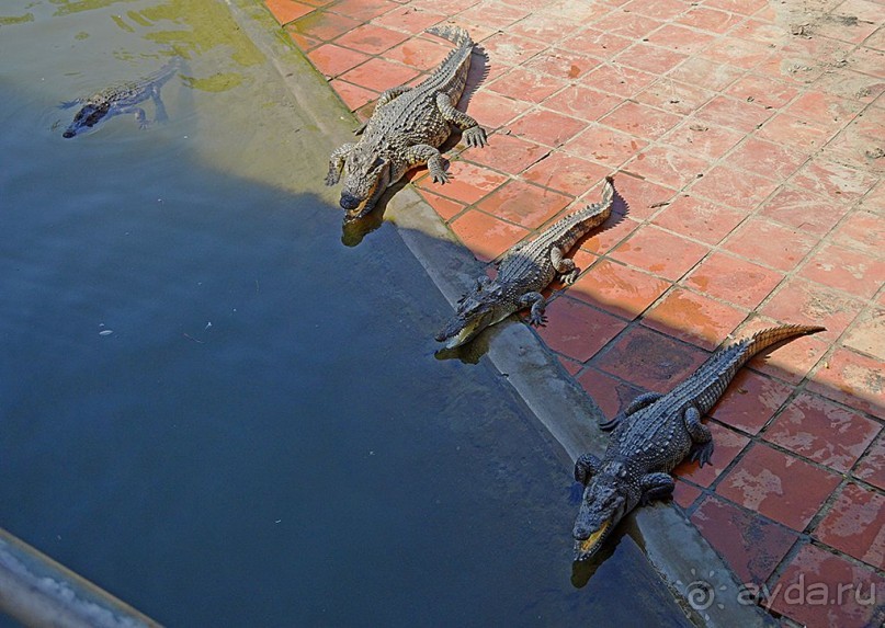 Экскурсии из Нячанга. ВОДОПАД ЯНГ БЕЙ.