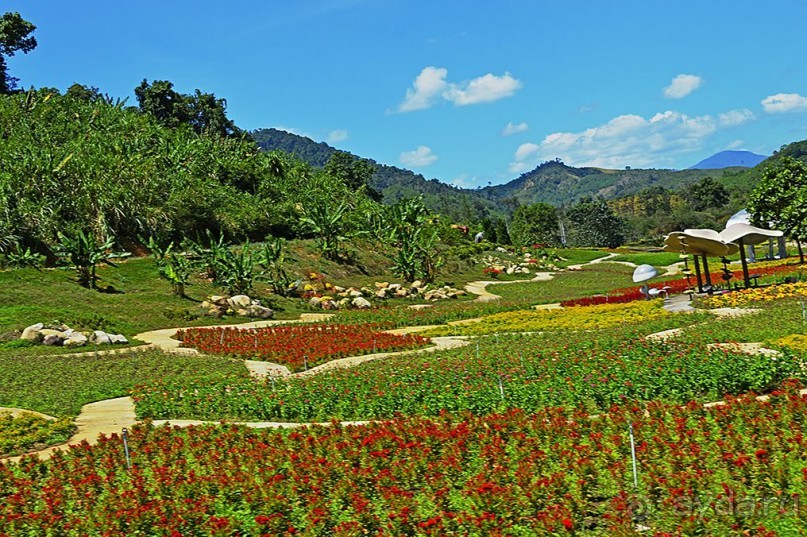 Экскурсии из Нячанга. ВОДОПАД ЯНГ БЕЙ.