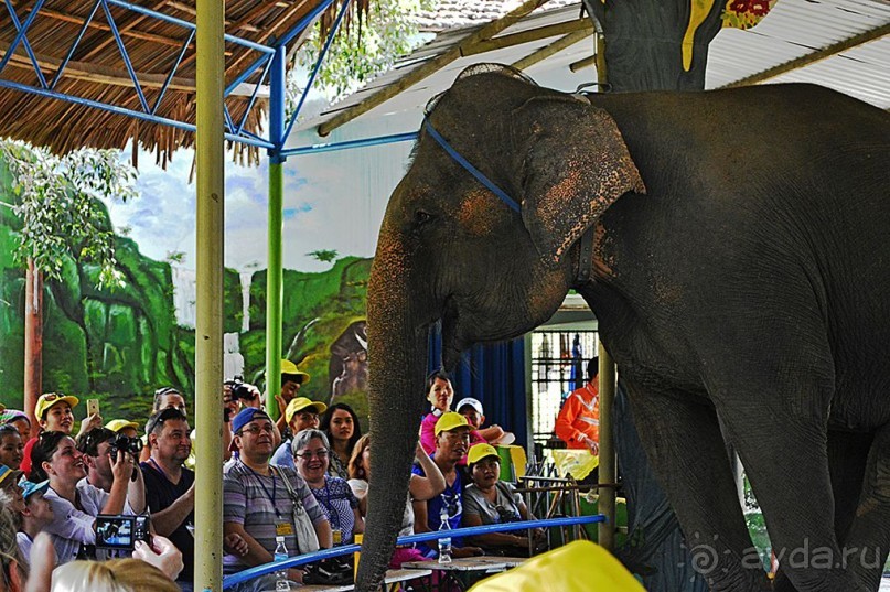 Экскурсии из Нячанга. Северные острова НЯФУ.