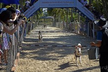 Экскурсии из Нячанга. Северные острова НЯФУ.