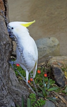 Экскурсии из Нячанга. Северные острова НЯФУ.