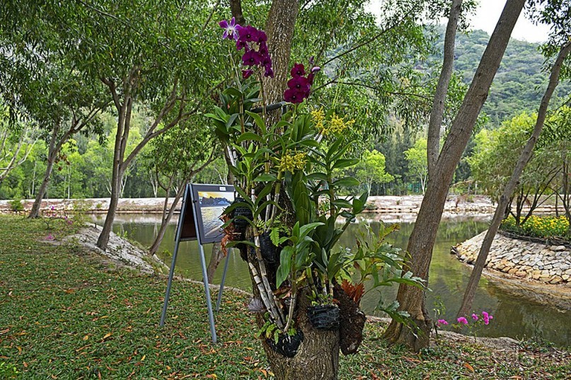 Экскурсии из Нячанга. Северные острова НЯФУ.