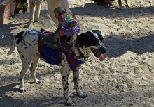 Экскурсии из Нячанга. Северные острова НЯФУ.