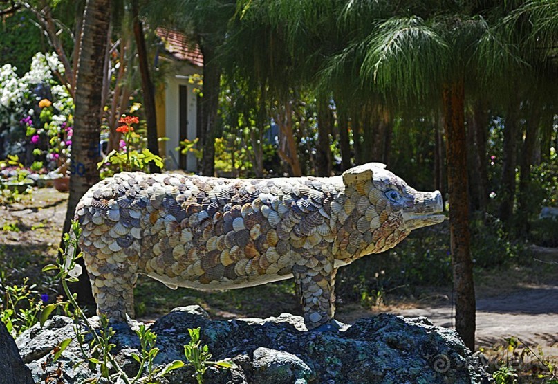 Экскурсии из Нячанга. Северные острова НЯФУ.