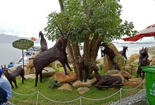 Экскурсии из Нячанга. Северные острова НЯФУ.