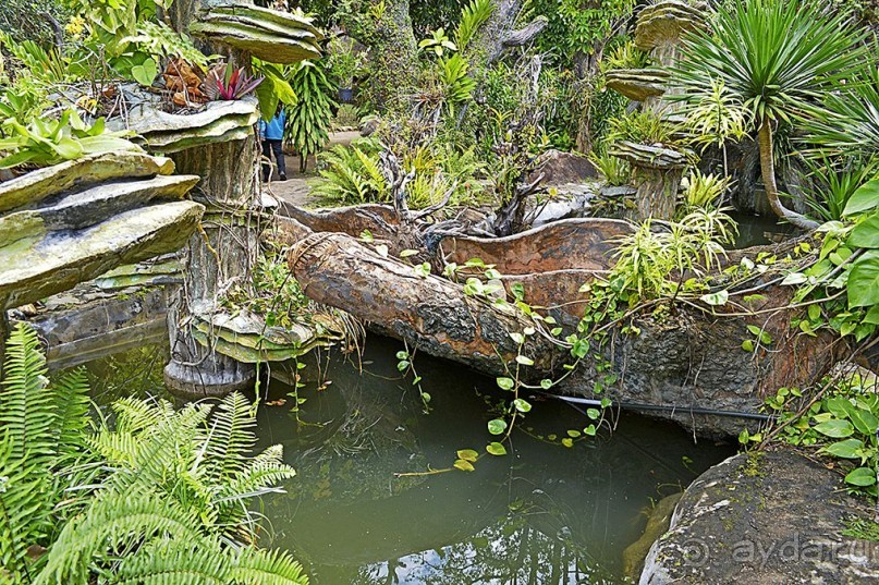 Экскурсии из Нячанга. Северные острова НЯФУ.