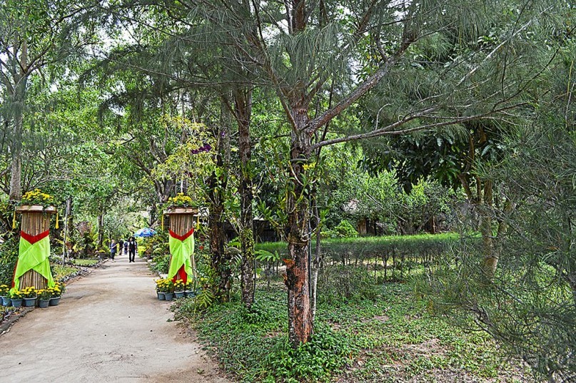 Экскурсии из Нячанга. Северные острова НЯФУ.