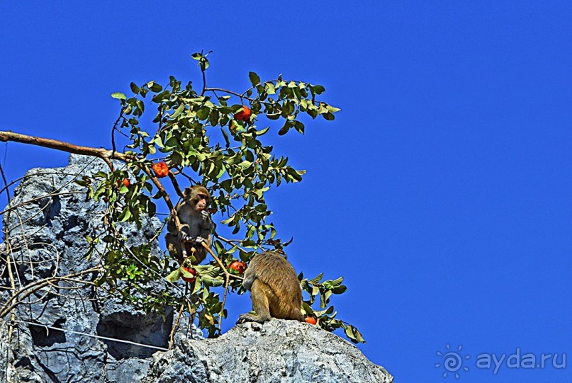 Экскурсии из Нячанга. Северные острова НЯФУ.