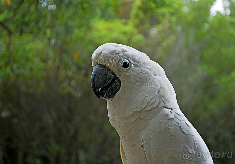 Экскурсии из Нячанга. Северные острова НЯФУ.