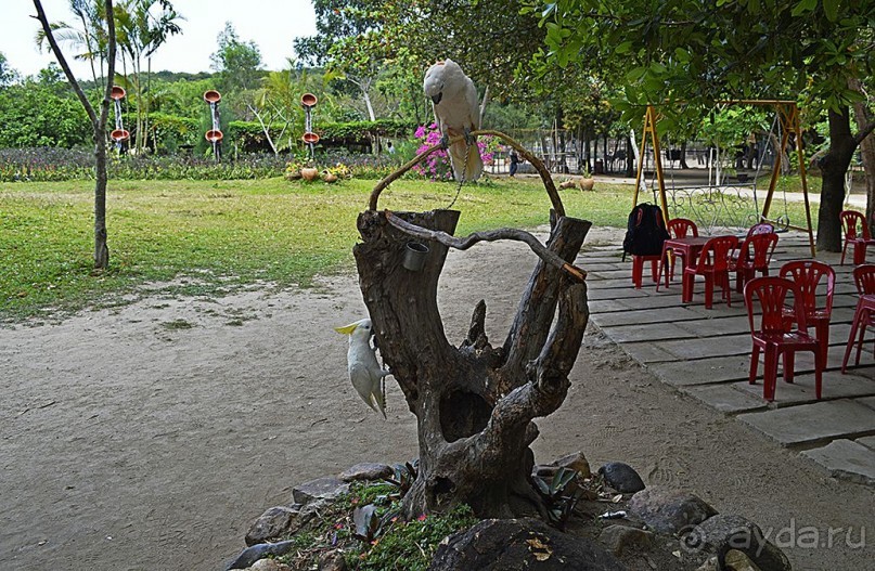 Экскурсии из Нячанга. Северные острова НЯФУ.