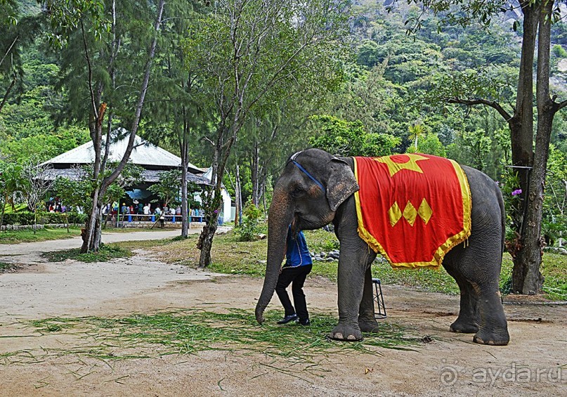 Экскурсии из Нячанга. Северные острова НЯФУ.