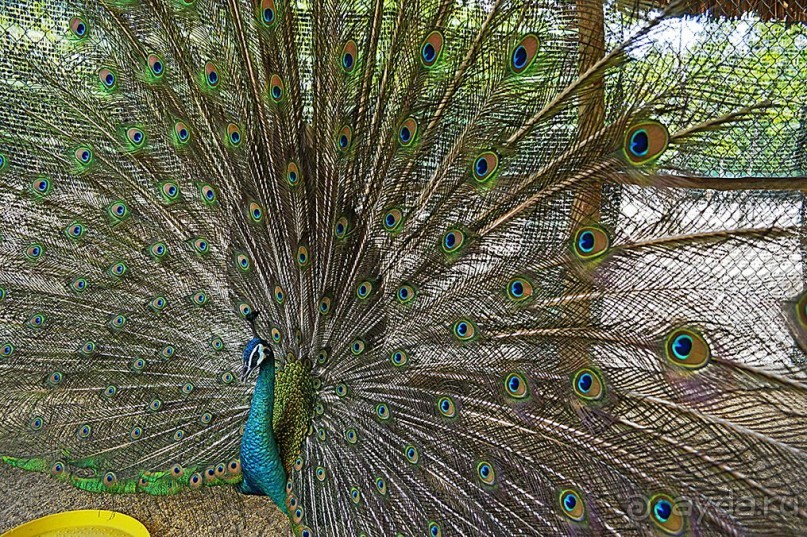 Экскурсии из Нячанга. Северные острова НЯФУ.