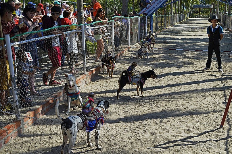 Экскурсии из Нячанга. Северные острова НЯФУ.