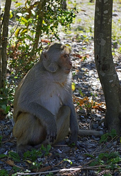 Экскурсии из Нячанга. Северные острова НЯФУ.