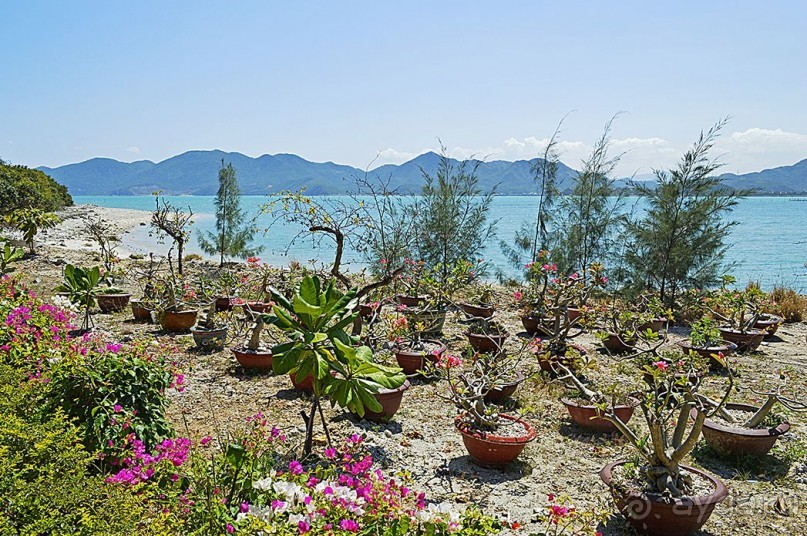 Экскурсии из Нячанга. Северные острова НЯФУ.