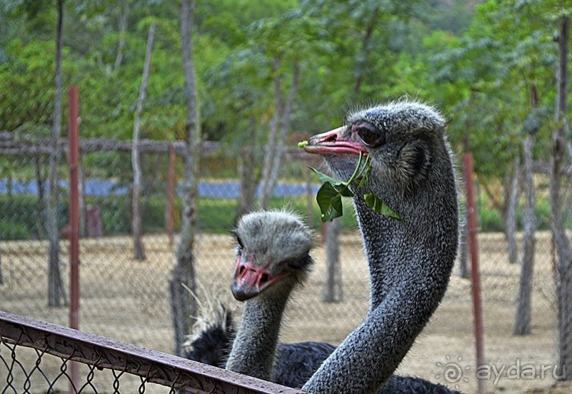 Экскурсии из Нячанга. Северные острова НЯФУ.