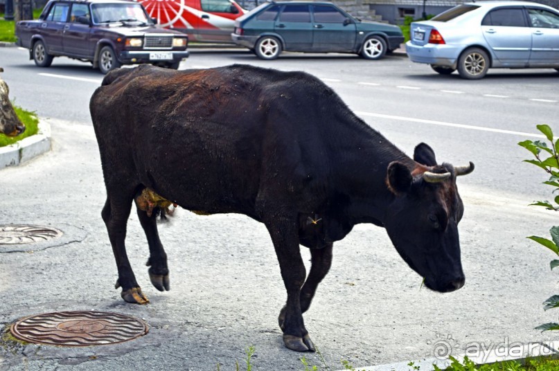 Екатеринбург-Невьянск-Тобольск. Часть 3. Тобольск.