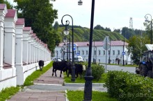 Екатеринбург-Невьянск-Тобольск. Часть 3. Тобольск.