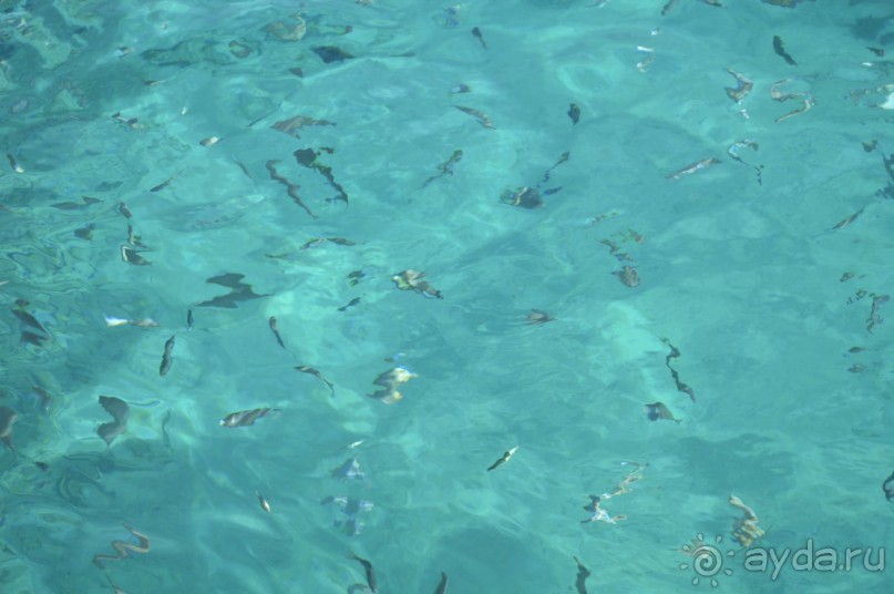 Скромно и ненавязчиво.