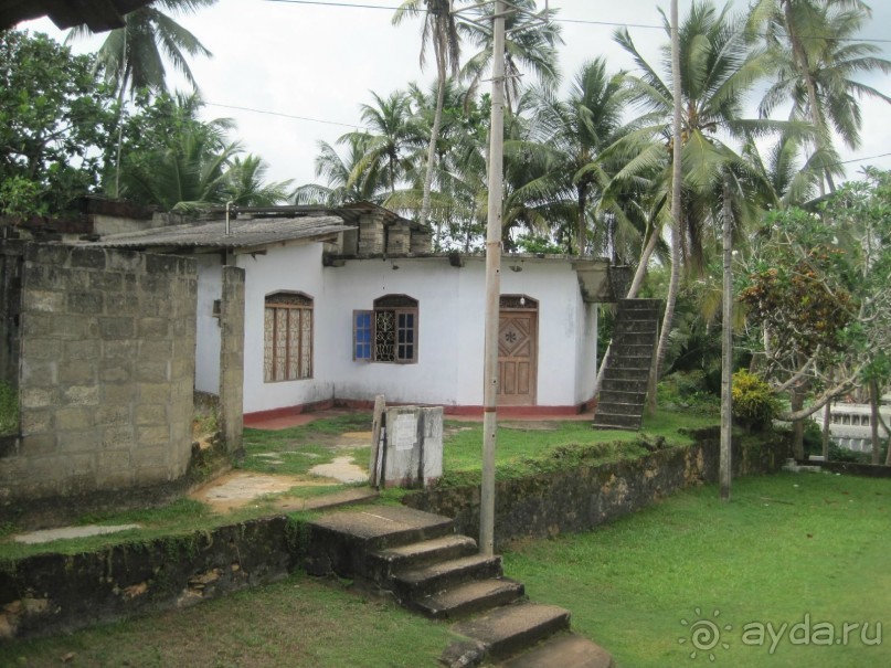 фото Берувелы