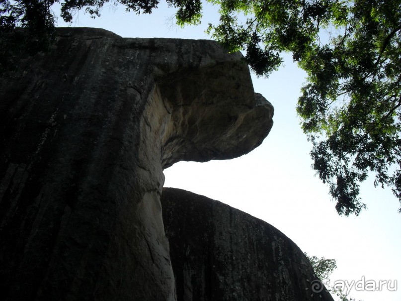 фото Берувелы