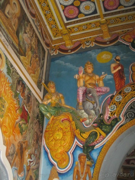 фото Берувелы