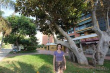 Для мечтающих побывать в Андалусии.