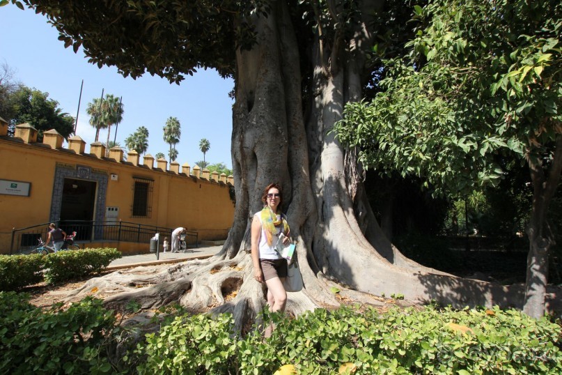 Для мечтающих побывать в Андалусии.